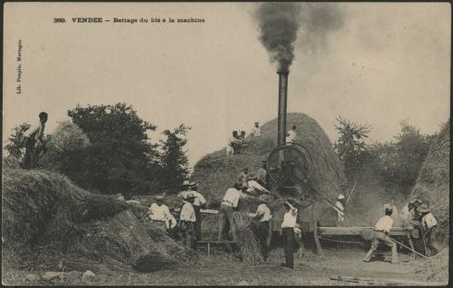 Scènes de battage du blé : à la machine (vue 1), à la gaule (vue 2).
