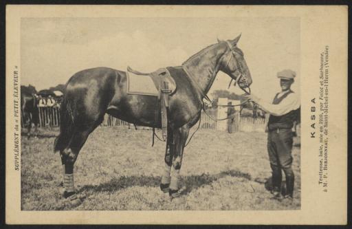 Le cheval de course appelé Kasba, ayant appartenu à M. Berjonneau, maire de Saint-Michel-en-l'Herm.