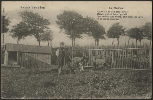 Un garçon qui surveille son troupeau de bêtes parqué dans son enclos (à gauche, un navari).