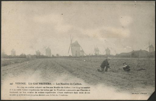 Les moulins du Caillon, sous la brume.