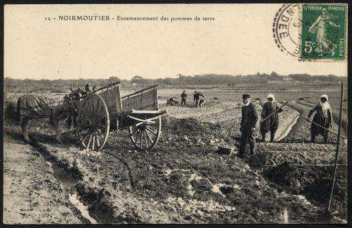 Noirmoutier. - L'ensemencement des pommes de terre (vue 1) et la récolte (vue 2) / Gausson phot.