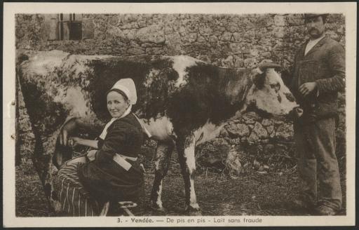 Une femme installée afin de traire une vache.