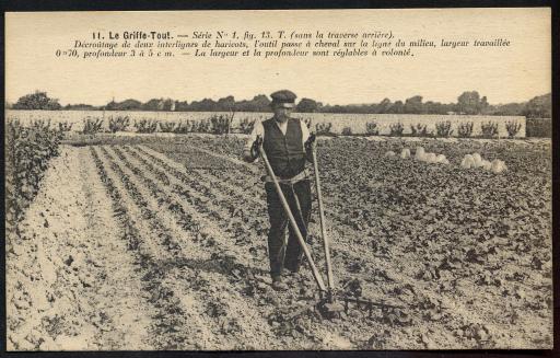 Un cultivateur dans son champ utilisant un griffe-tout.