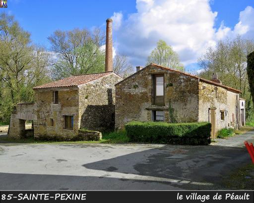 Le lieu-dit de Péault : l'ancien moulin hydraulique (vue 1-4), le Lay (vues 5-7). Le village de Saint-Linaire (vue 8).