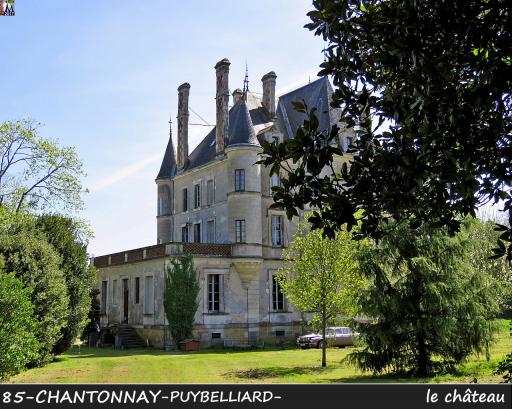 Le château de Puybelliard.