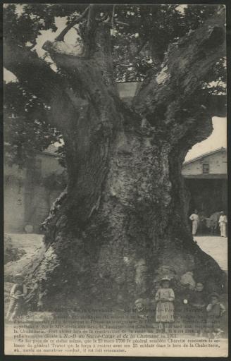 Le chêne de la Chevasse : enfants (vue 1), chapelle (vue 2).