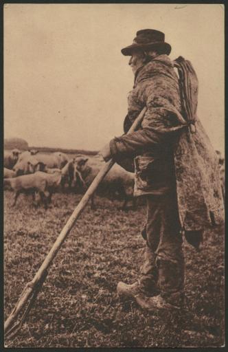 La surveillance des pâturages. - Berger, troupeau de moutons / Mainard phot. (vue 1).