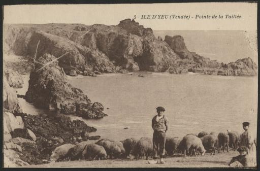 Des troupeaux de moutons gardés par des enfants : pointe de la Taillée (vue 1), la Meule (vue 2).