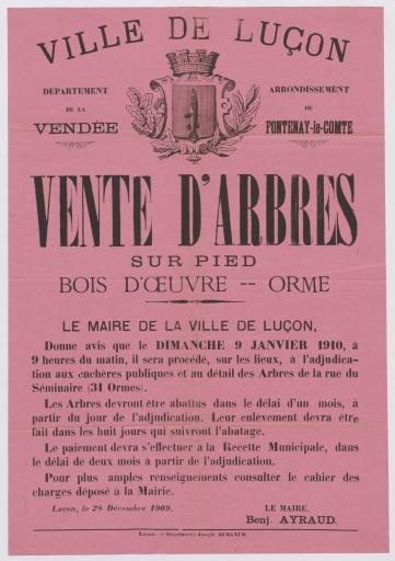 Luçon Impr. J. Burgaud Vente d'arbres sur pied : avis du maire annonçant la vente, le 9 janvier 1910, de 31 ormes de la rue du Séminaire, 28 décembre 1909.