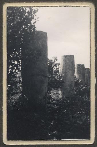 (AAIN 38 E 39 à 42, lot 19). Les restes du cloître de l'ancienne abbaye Saint-Filibert (vue 1), sur les ruines de Saint-Hilaire au Vieil (vue 2), le Bois du massacre et le Champ des morts (guerre de Vendée, vues 3 à 5).