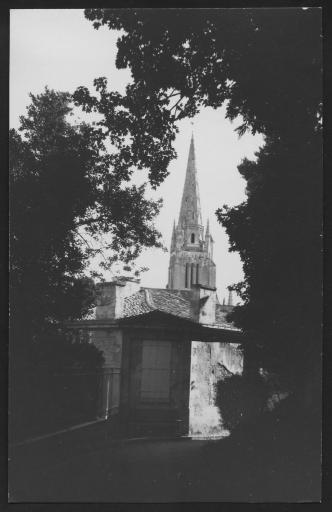 (176 J 107-2). Fontenay-le-Comte. - Eglise Notre-Dame-de-l'Assomption : clocher depuis l'entrée du parc Baron (7 août 1977), portail ouest (10 août 1975), 2 photographies ; clocher, portail, crypte. 6 cartes postales.