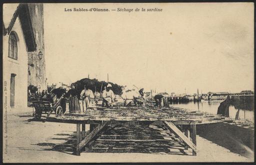 (97 J 114). Cartes postales : séchage et remuage des sardines, [années 1920].